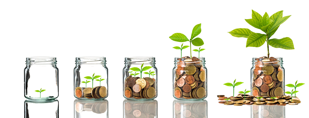 Jars of coins with plants growing out of them